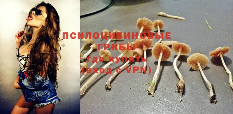 Псилоцибиновые грибы Magic Shrooms  Лихославль 